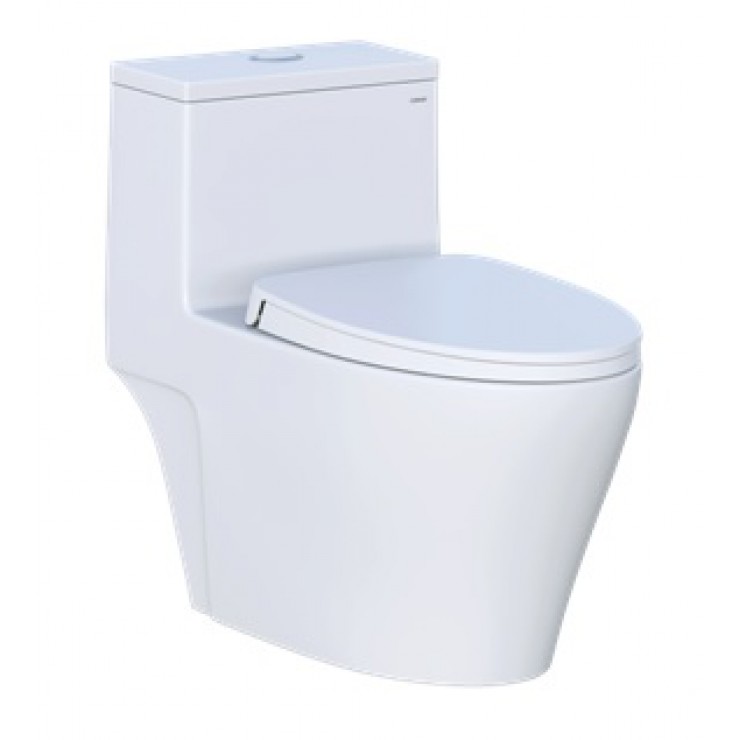 Có nên lựa chọn bồn cầu 1 khối Caesar hay không?