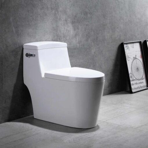 Bồn cầu 1 khối là gì? Có nên dùng bồn cầu 1 khối?