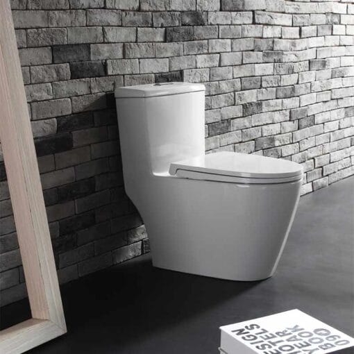 Bồn cầu 1 khối là gì? Có nên dùng bồn cầu 1 khối?