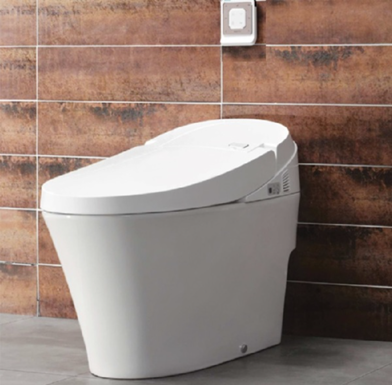Bồn cầu Viglacera thông minh