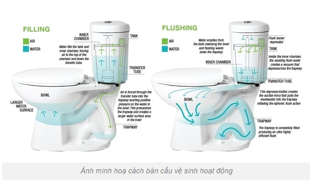 nguyen-ly-hoat-dong-cua-ban-cau