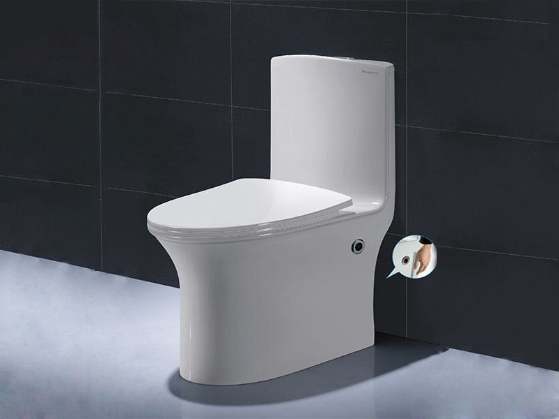 bồn cầu kohler