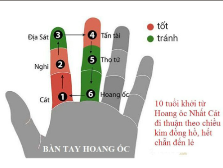 Tính Hoàng Ốc trên bàn tay đơn giản