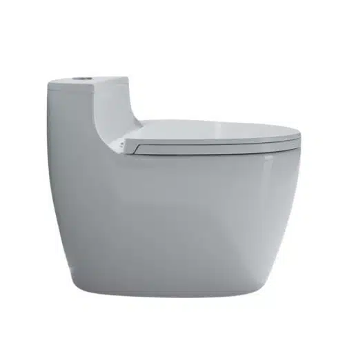 bồn cầu G-BCG29