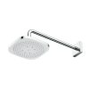bát sen gắn tường toto TBW02003A