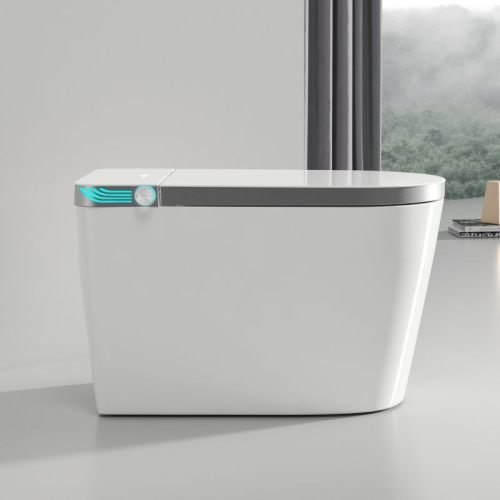 bồn cầu thông minh bally B-BS2199