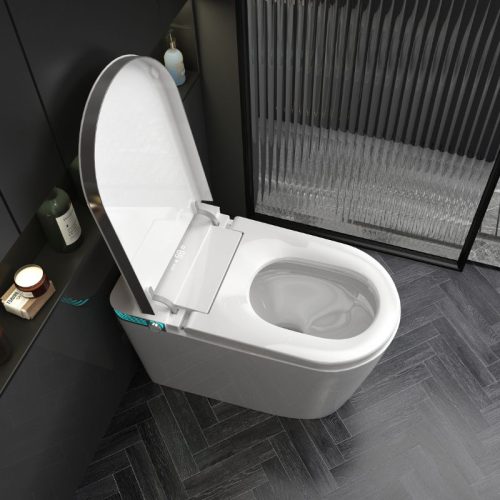 bồn cầu thông minh bally B-BS2199
