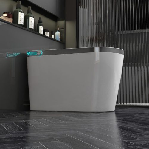 bồn cầu thông minh balyl B-BS2599