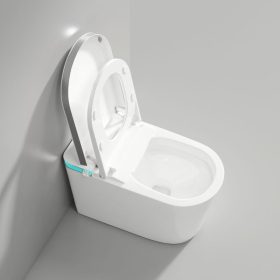 bồn cầu thông minh balyl B-BS2599