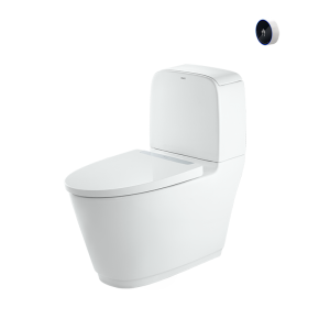 Bồn Cầu INAX ACT-832VN