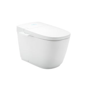 Bồn Cầu Thông Minh INAX AC-816VN