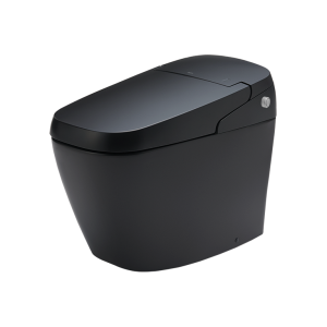 Bồn Cầu Thông Minh INAX AC-G216VN/BKG