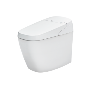 Bồn Cầu Thông Minh INAX AC-G216VN