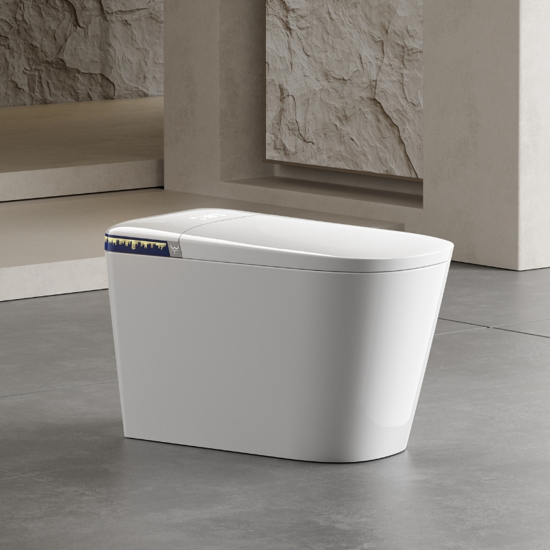 bồn cầu thông minh huge h-bs25-s9