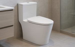 Bồn cầu 1 khối