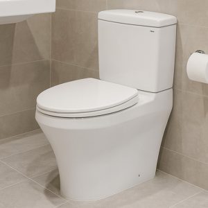 Bồn cầu hai khối