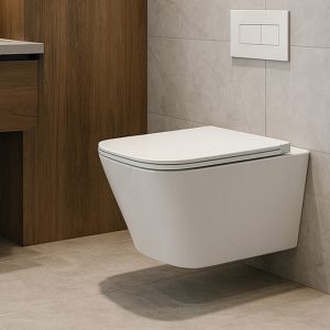 Bồn cầu treo tường