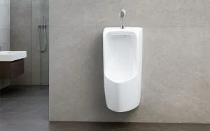 Bồn tiểu nam treo tường
