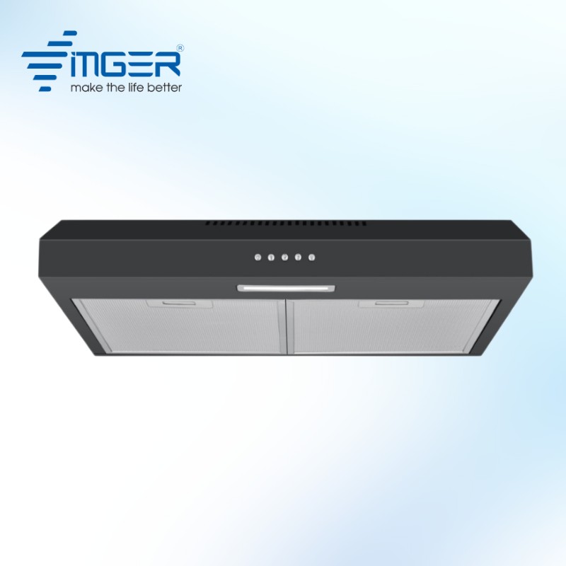 Hút Mùi Treo Tường Cổ Điển VG 116 EC